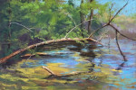 Along the Neuse River #  by Linda Wells