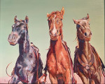 First Saddles #  by Randy Meador
